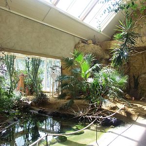 Bird House Interior at Vienna, 14/06/13