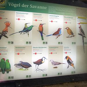 Signage Example at Vienna, 14/06/13