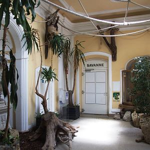 Bird House Interior at Vienna, 14/06/13