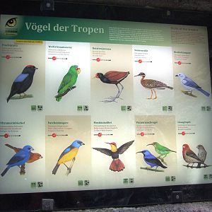 Signage Example at Vienna, 14/06/13