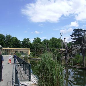 General View at Vienna, 14/06/13