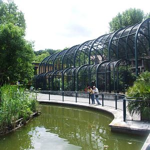 Ibis Aviary at Vienna, 14/06/13