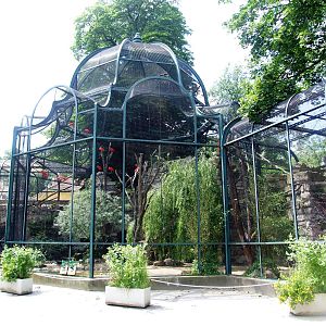 Ibis Aviary at Vienna, 14/06/13