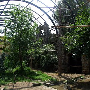 Ibis Aviary at Vienna, 14/06/13