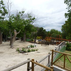 African Paddock, June 2013