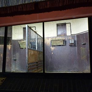 Indoor giraffe stalls, June 2013