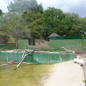Giant Otter Enclosure, June 2013