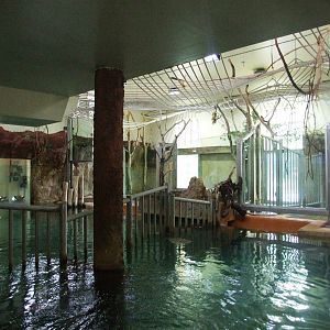 Hippo House Interior at Vienna, 14/06/13