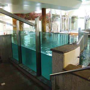 Hippo House Interior at Vienna, 14/06/13