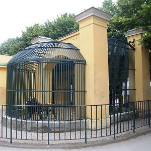 Historic Cage at Vienna, 14/06/13