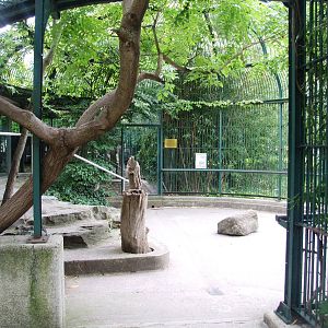 Historic Cage at Vienna, 14/06/13