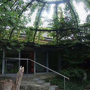 Historic Cage at Vienna, 14/06/13