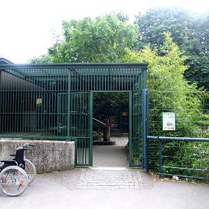 Historic Cage at Vienna, 14/06/13