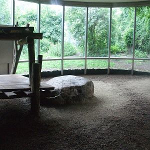 Indoor Tiger Enclosure at Vienna, 14/06/13