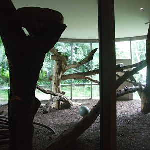 Indoor Jaguar Enclosure at Vienna, 14/06/13