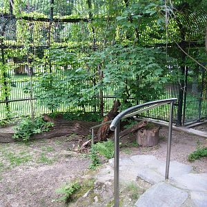 Cheetah Enclosure at Vienna, 14/06/13
