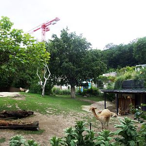 South America Park at Vienna, 14/06/13