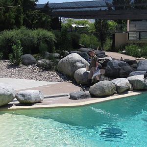 Penguin exhibit just after a keeper talk