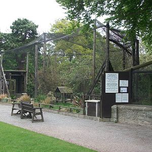 50th Anniversary 18th May 2013