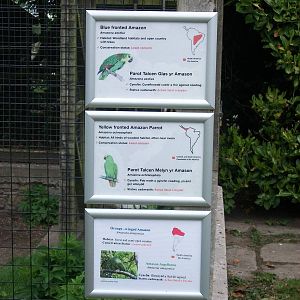 50th Anniversary 18th May 2013