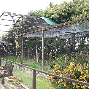 50th Anniversary 18th May 2013