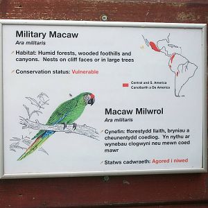 50th Anniversary 18th May 2013