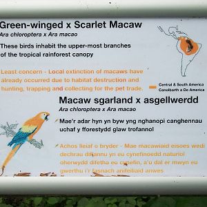 50th Anniversary 18th May 2013