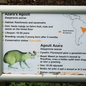 50th Anniversary 18th May 2013