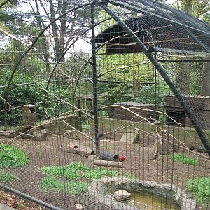 50th Anniversary 18th May 2013