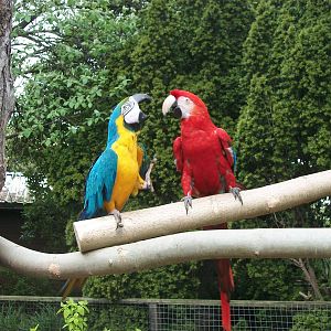 50th Anniversary 18th May 2013