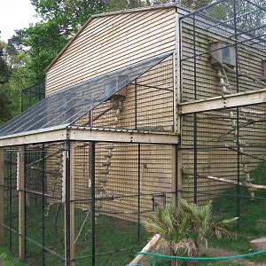 50th Anniversary 18th May 2013