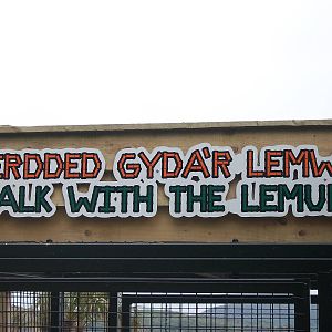 50th Anniversary 18th May 2013