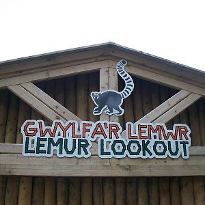 50th Anniversary 18th May 2013