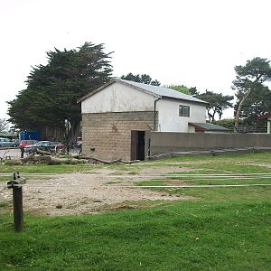 50th Anniversary 18th May 2013