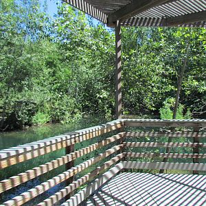 Boardwalk over Main Pond