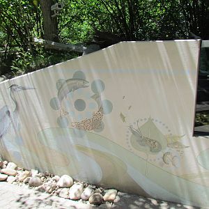 Alpine Lake Viewing Area