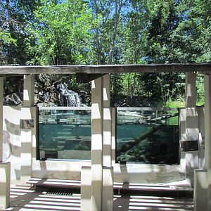 Alpine Lake Viewing Area