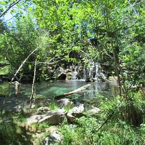 Alpine Lake Waterfall Overlook