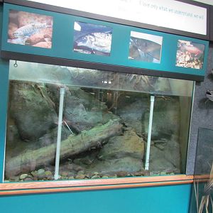 Visitor Center - Aquarium