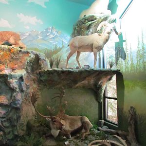 Visitor Center - Diorama Room