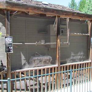Visitor Center - Kestrel and Burrowing Owl Enclosure