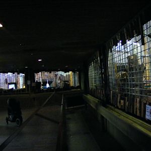 201306 Heidelberg Zoo Big cat house