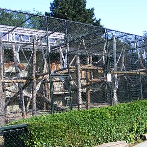 201306 Heidelberg Zoo Hulman outdoor cage