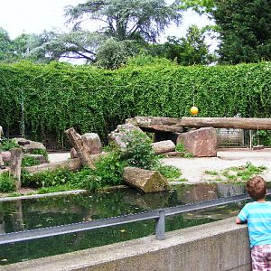 201306 Heidelberg Zoo Lion enclosure