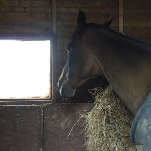 It's a big world out there