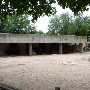 American Bison House, June 2103