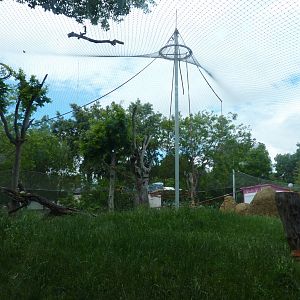 Bornean Orangutan enclosure, June 2013