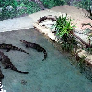 Assiniboine Park Zoo 05.2013