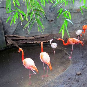 Assiniboine Park Zoo 05.2013