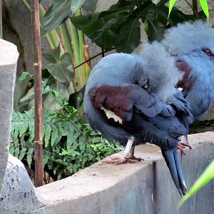 Assiniboine Park Zoo 05.2013